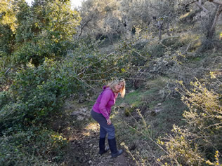 Due to WINTER STORMS TREES and SHRUBS have blocked the cobblestone path to the village and the beach we use 